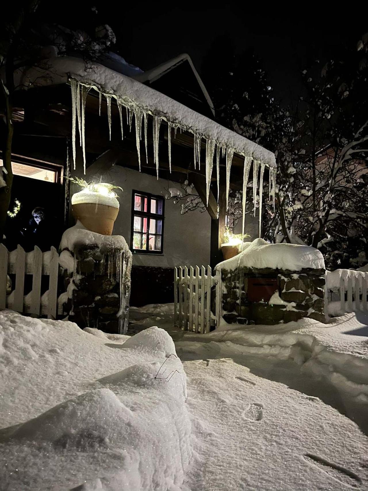 Apartman Gabriela แชร์เวนาโวดา ภายนอก รูปภาพ